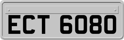 ECT6080