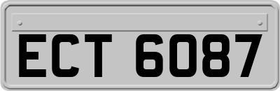 ECT6087