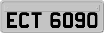 ECT6090