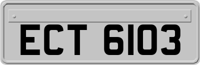 ECT6103