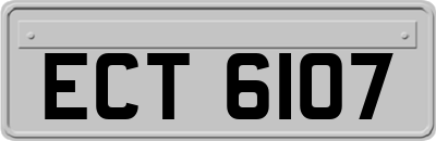 ECT6107