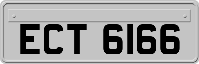 ECT6166