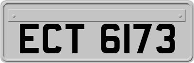 ECT6173