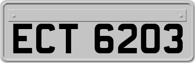 ECT6203