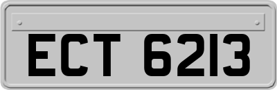 ECT6213