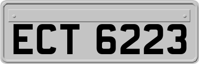 ECT6223