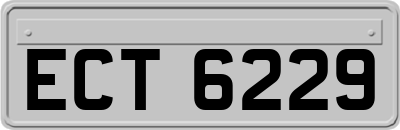 ECT6229