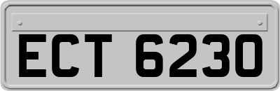 ECT6230