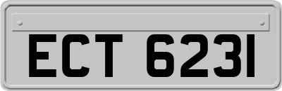 ECT6231