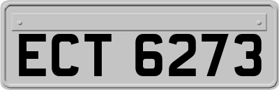ECT6273