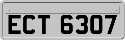 ECT6307