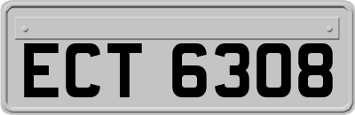 ECT6308