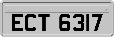 ECT6317