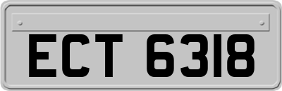 ECT6318