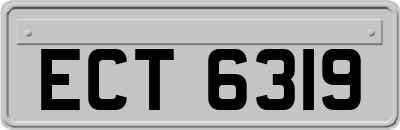 ECT6319