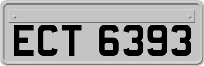 ECT6393