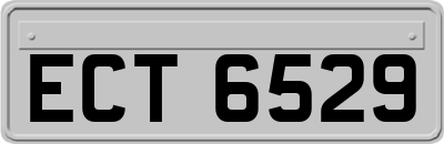 ECT6529