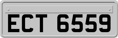ECT6559