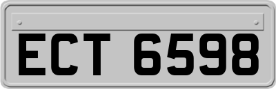 ECT6598