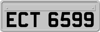 ECT6599