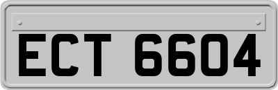 ECT6604
