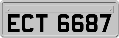 ECT6687