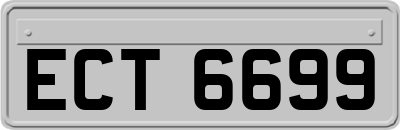 ECT6699