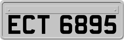 ECT6895