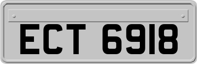 ECT6918
