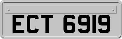 ECT6919