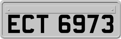 ECT6973