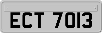 ECT7013