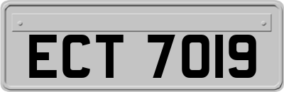 ECT7019