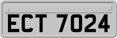 ECT7024