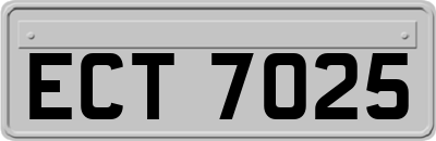 ECT7025
