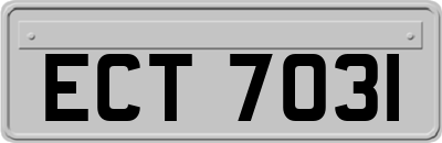 ECT7031