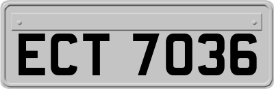 ECT7036