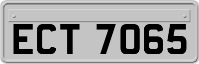 ECT7065