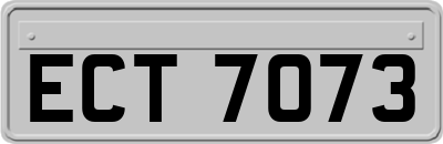 ECT7073