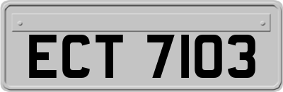 ECT7103