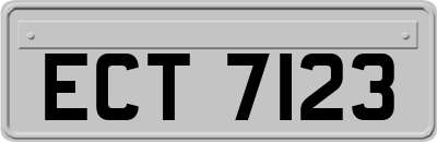 ECT7123