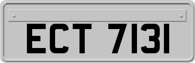 ECT7131