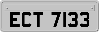 ECT7133