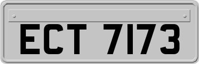 ECT7173
