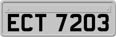 ECT7203