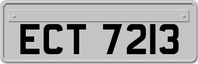 ECT7213