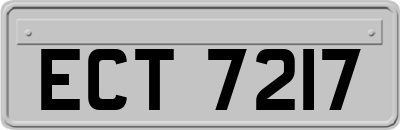 ECT7217