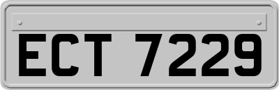 ECT7229
