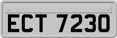 ECT7230