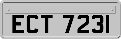 ECT7231